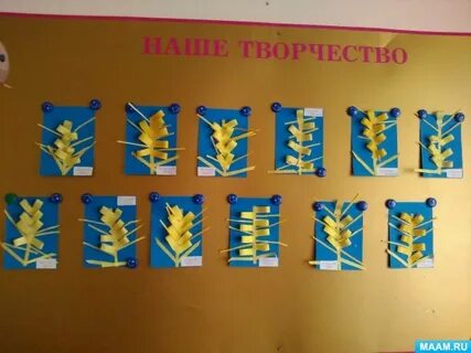 Лепка колосок в старшей группе