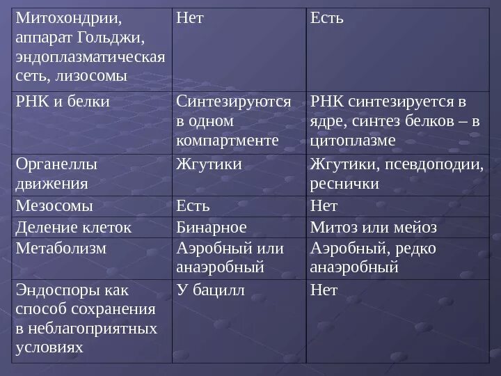 Митохондрии лизосомы функции. Лизосома и митохондрия сравнение. Функции лизосом и митохондрий. Строение митохондрии таблица. Строение и функции лизосом и митохондрий.