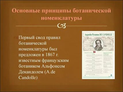 Автор бинарной номенклатуры