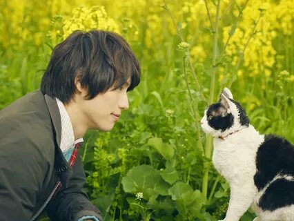 J–MOVIE BAGIKUY RAW BRRIP WIKI 1080P TITLE : The Travelling Cat Chronicles ...