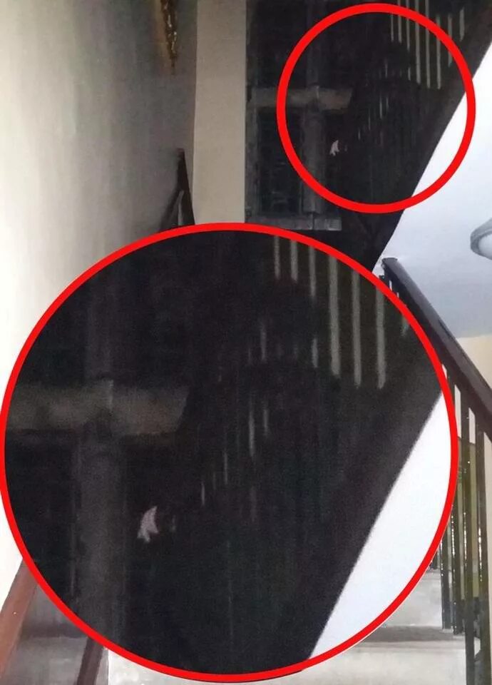 Приведения на фотографиях. Азиявидение. Сфотографировали призрака. Призрак картинки. Много привидений.