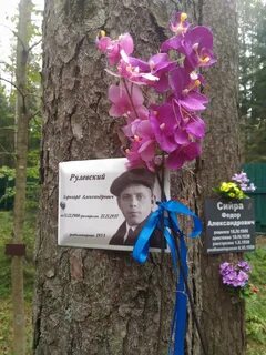 Любовь рулевская на дзене последнее