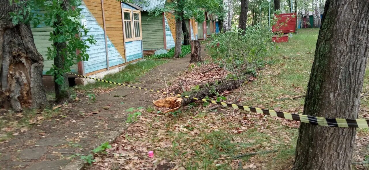 Зори жигулей турбаза самара. Турбаза островок царевщина. Зори жигулей турбаза самара. Волжские зори турбаза тольятти. Зори жигулей новокуйбышевск.