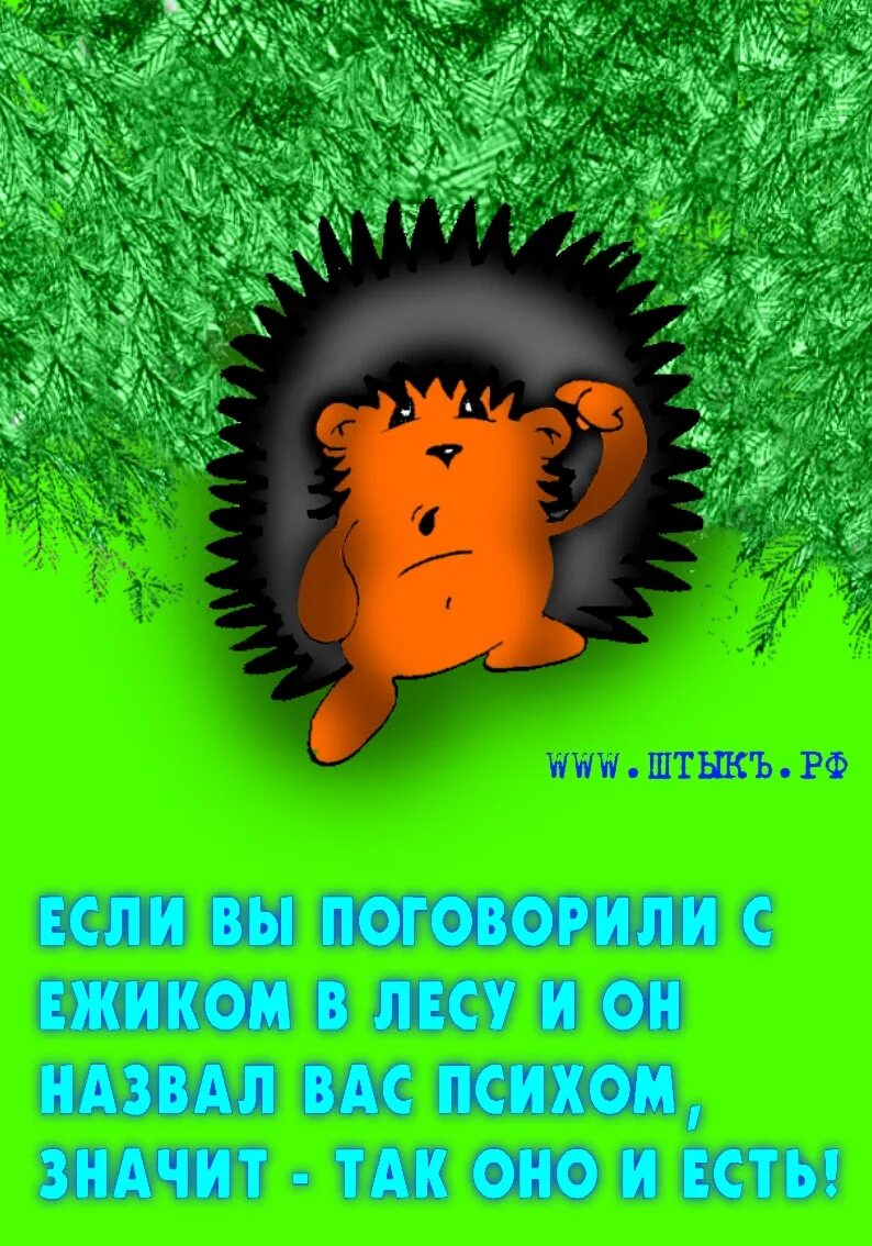 Еж поговорки. Ежик с надписями. Смешные ежики картинки. Цитаты про ежика. Ежики с прикольными надписями.