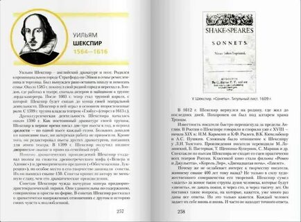 Получила 2 по литературе