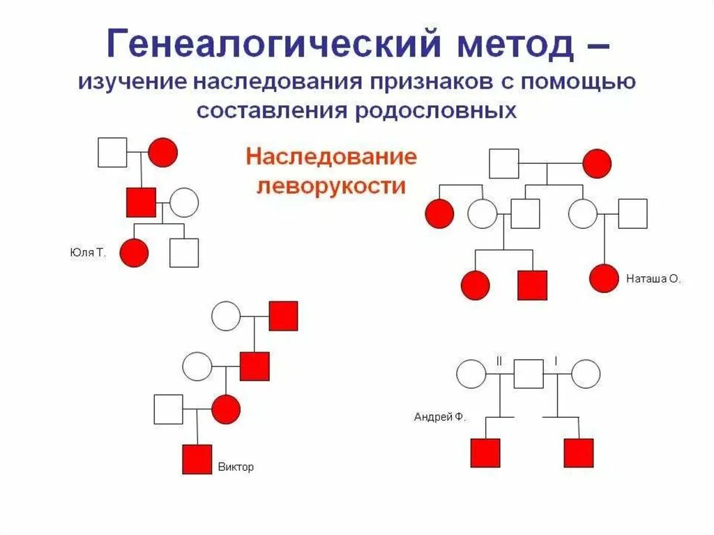 Методы изучения генетики человека генеалогический