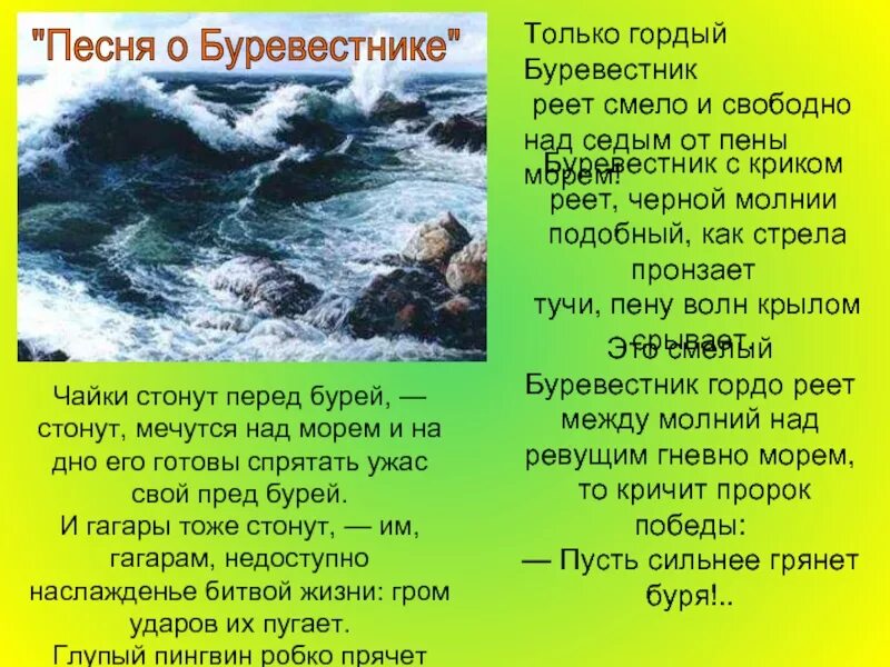Горький буревестник текст стихотворения. Стих скажи а чайки тоже плачут. Лермонтов гордо реет буревестник. Ноты. Чайки песня видео.