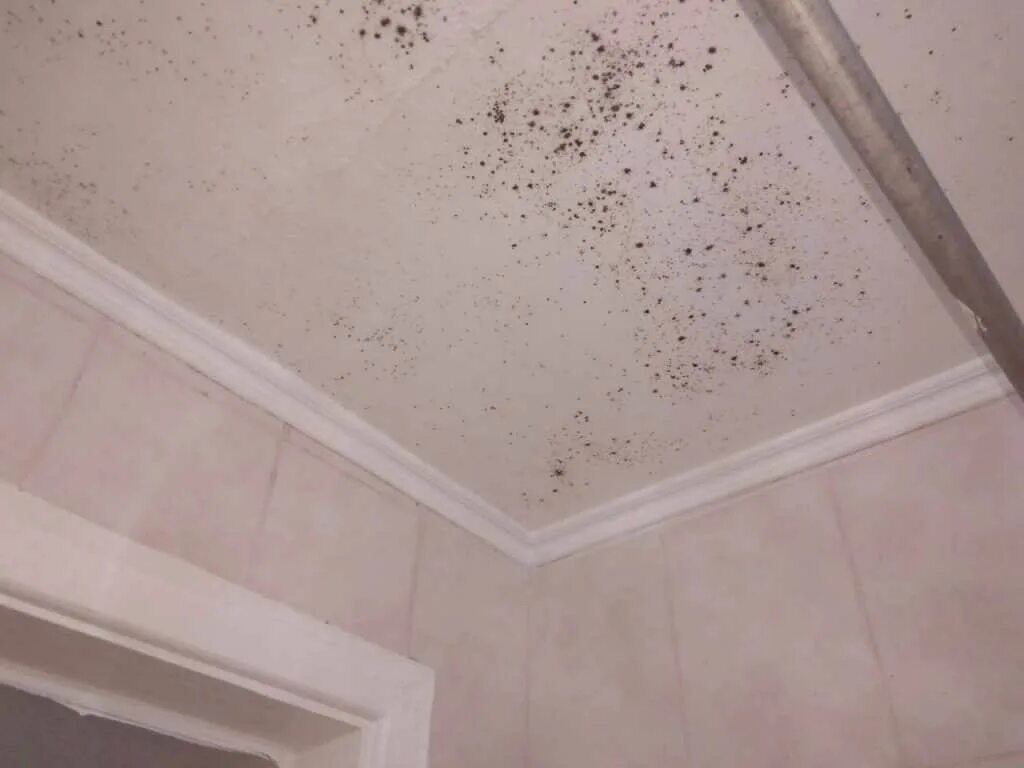 Плесень в ванной на потолке. Грибок на потолке. Межплиточные швы на потолке. Грибок на потолке в ванной. Плесень на натяжном потолке.