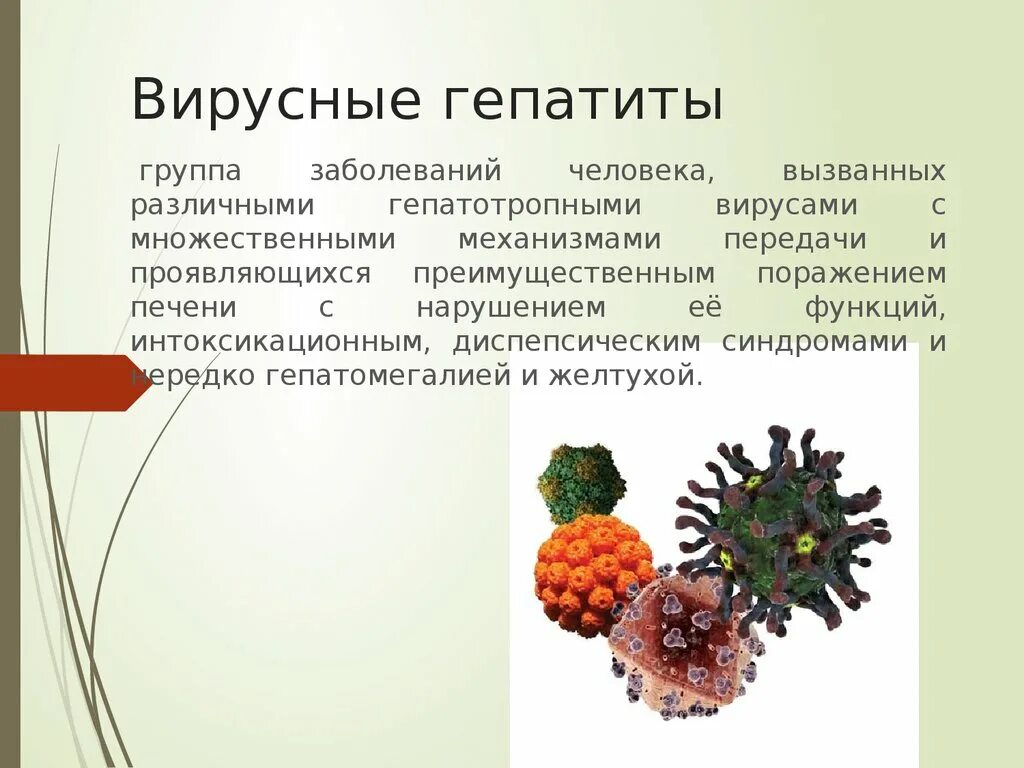 Вирусы вызывающие гепатит