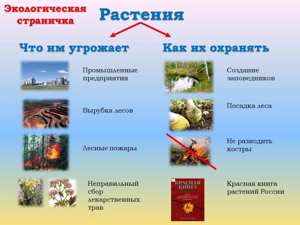 Что угрожает понятому. Охрана растений. Проект охрана растений. Охрана животных и растений. Способы охраны растений.