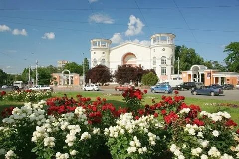 Октопица симферополь