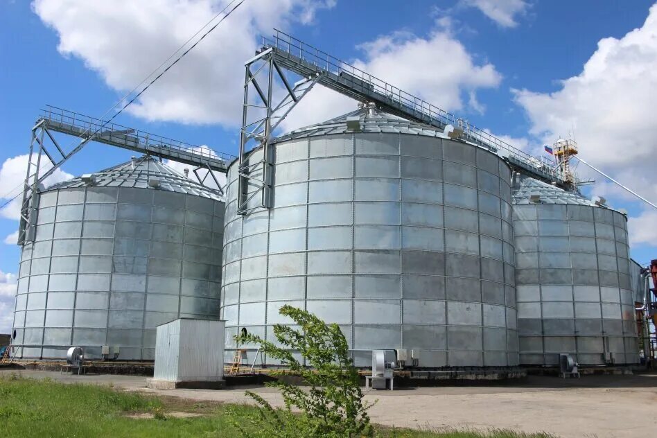 саратов сельское хозяйство. саратовские сельскохозяйственные предприятия. хозяйство саратовской области. хозяйство саратовской области. сельскохозяйственные культуры саратовской области.