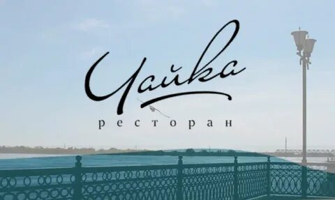 Чайка муром
