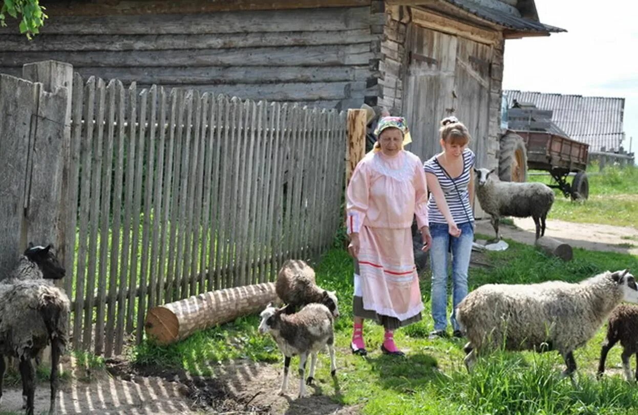 Как получить сельский миллион. Сельский туризм.вологодская область.