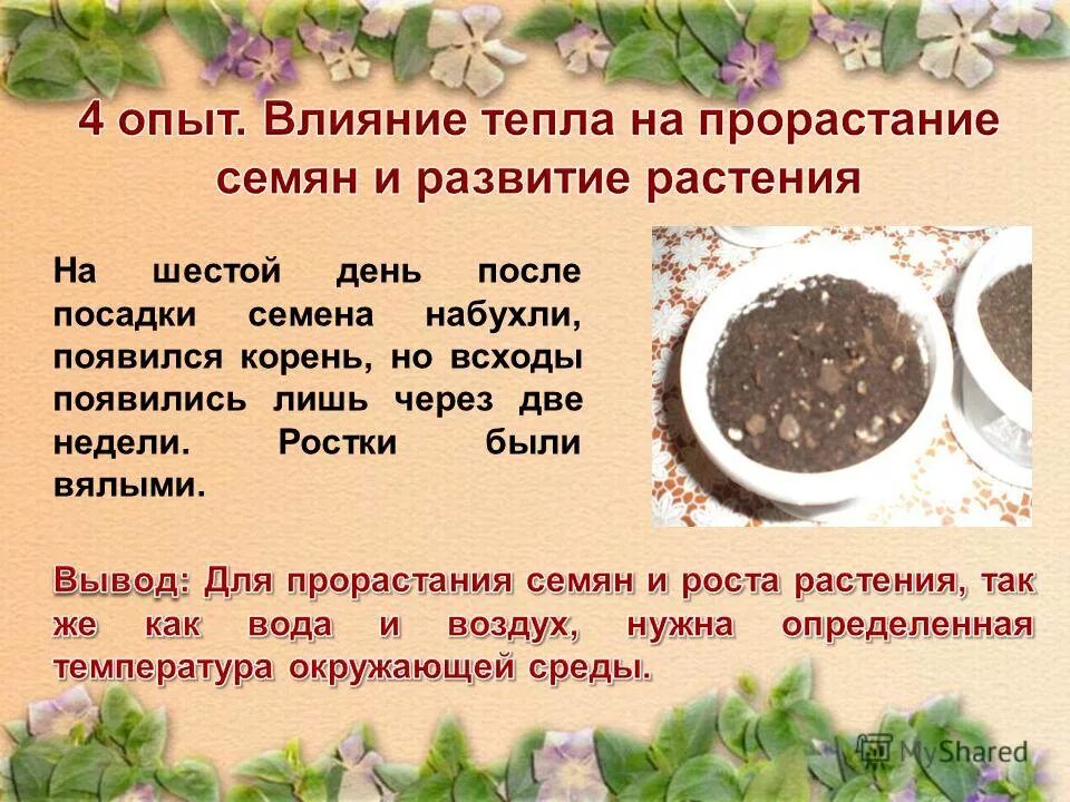 Как влияет доступ воздуха на прорастание семян. Влияние тепла на прорастание семян. Влияние кислорода на прорастание семян.