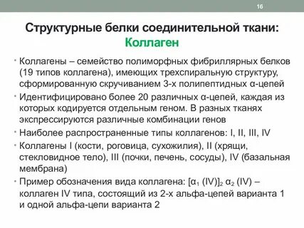 Белок соединительной ткани организма