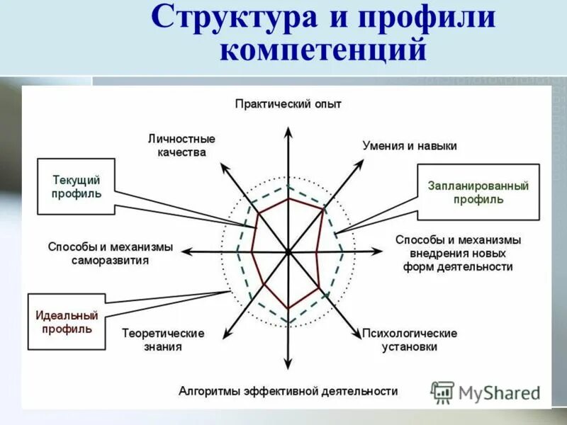 Профиля компетентности. Диаграмма профиля компетенции сотрудника. Модель компетенций это и профиль компетенций. Графический профиль компетенций. Пример профиля компетенций сотрудника.