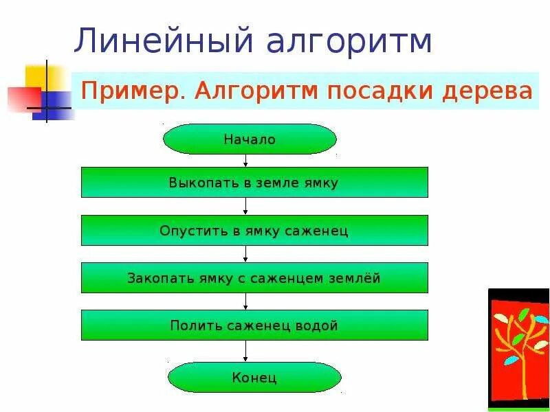 Непонятен алгоритм. Линейный алгоритм. линейный алгоритм посадки дерева. понятие линейного алгоритма.