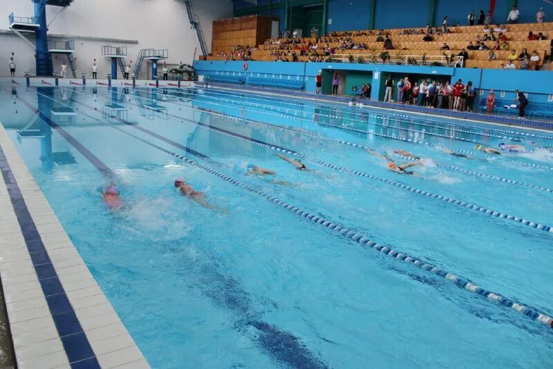 Бассейн таежный братск чаша. Бассейн вихоревка. Сдюсшор приморского района на королева. Профилакторий вихоревка бассейн. Бассейн олимпия братск.