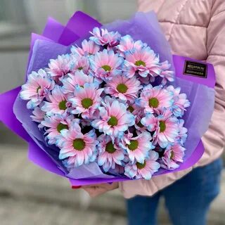 Цветы бобруйск