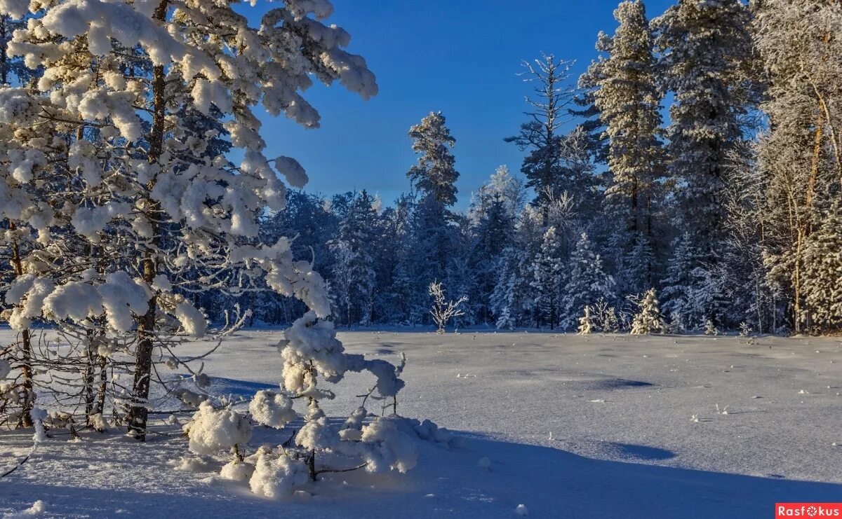 ханты-мансийск нижневартовск. площадь города ханты-мансийска. ханты-мансийск мамонты парк. ханты мансийский в ноябре. ханты мансийский в ноябре.