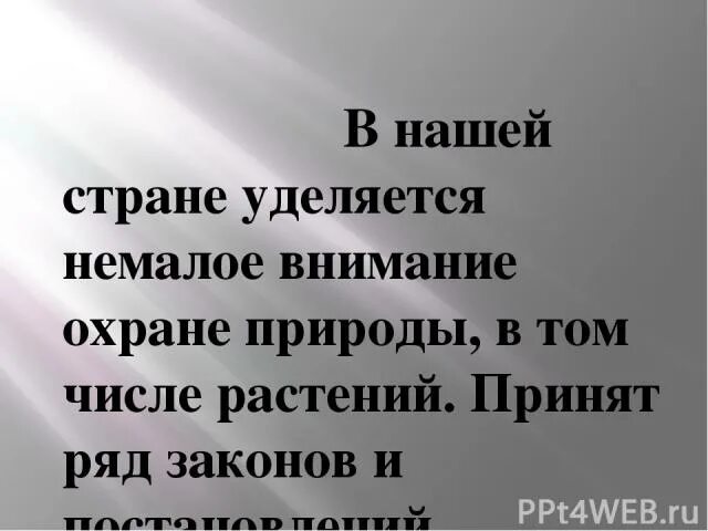 Почему государство уделяет большое внимание охране природы. Почему так много внимания уделяется охране природы. Внимание как уделяется. Почему надо большое внимание уделять охране природы. Почему государство уделяет большое внимание образованию