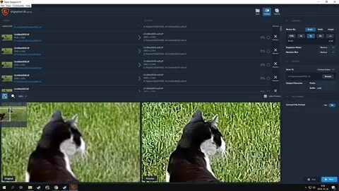 Amd video upscaling