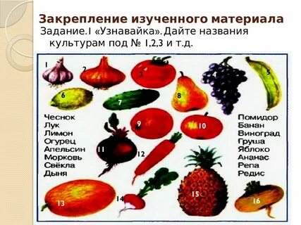 Примеры любых культурных