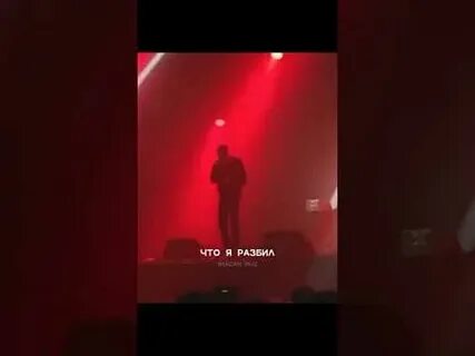 Останься моим образом в тумане компасом песня