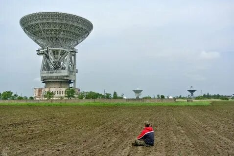 Галенки октябрьский приморский край