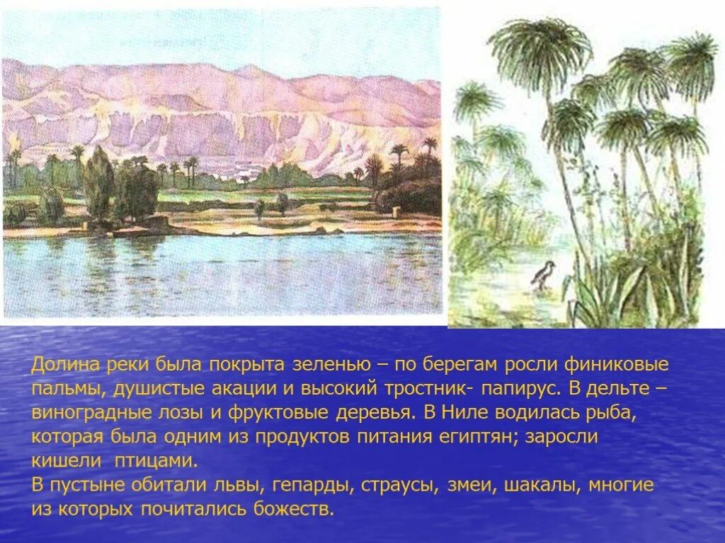 Рассказ берег. Древний египет государство на берегах нила. берег нила в древнем египте 5 класс. история 5 класс государство на берегах нила. государство на реке нил 5 класс.