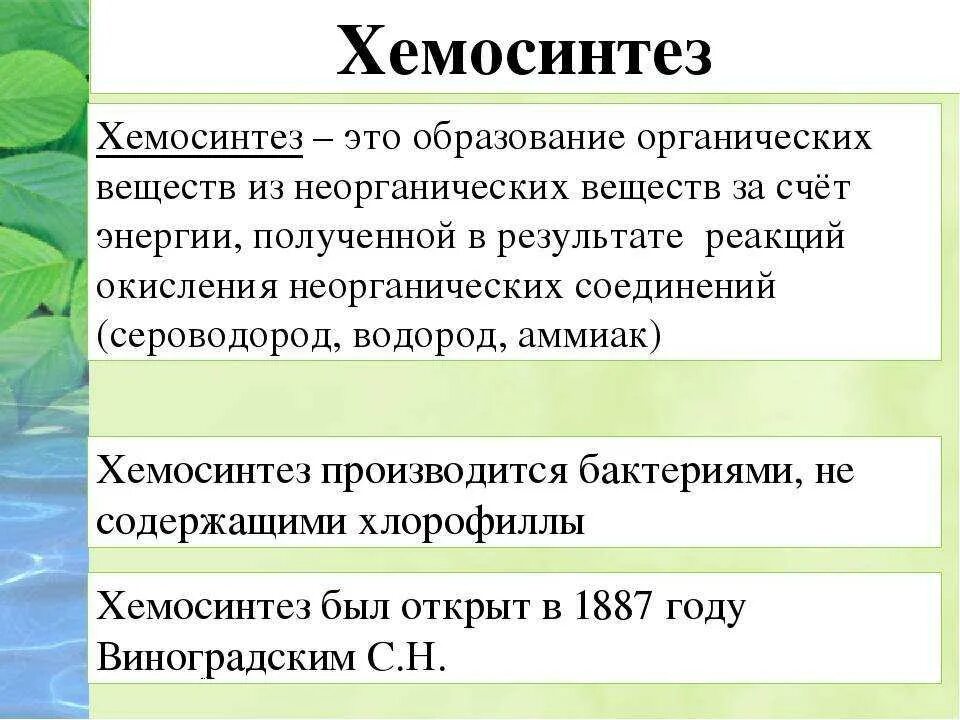 Хемосинтез характерен для. 10 Класс биология фотосинтез хемосинтез. Фотосинтез и хемосинтез презентация. Пластический обмен фотосинтез хемосинтез. Хемосинтез это кратко.