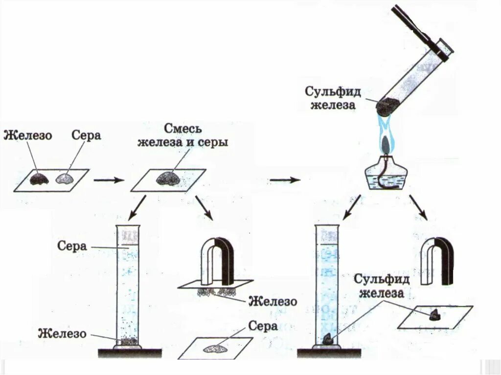 Смесь железных опилок и серы можно разделить. Разделение смеси серы и железа. Взаимодействие железа с серой опыт. Опыт. Разделение смеси железа и серы. Получение сульфида железа.