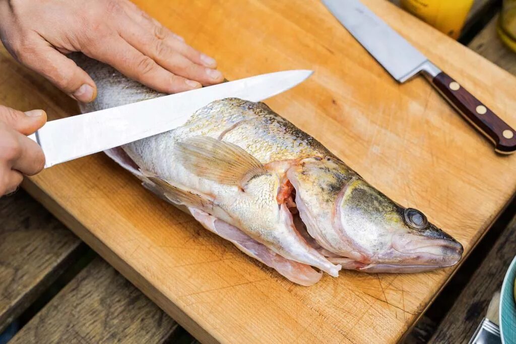 Как сварить судака. Приготовление судака. судак вкусная рыба. судак рыба приготовленная. судак рыба запеченная.