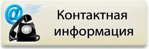 Сообщают контактные данные