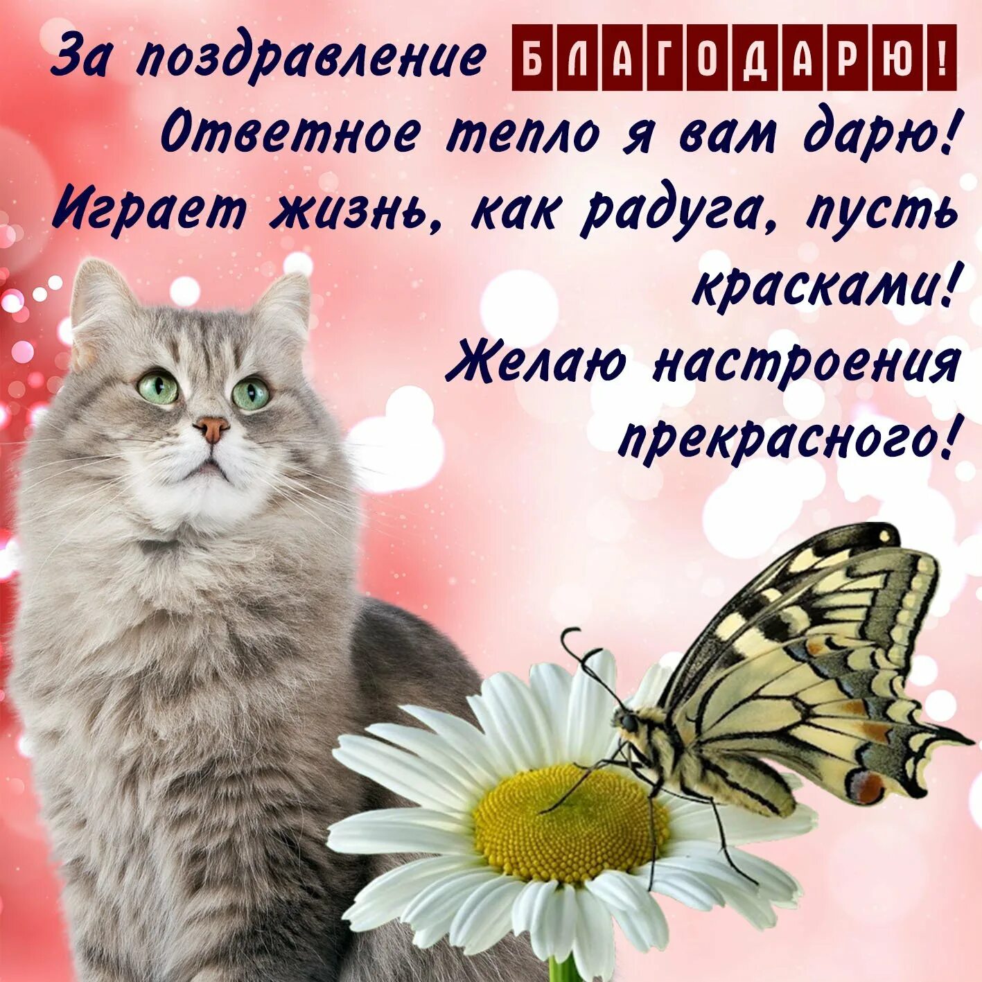 Как нибудь отблагодарю