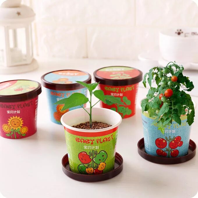 Десерт цветочный горшок. Пирожное горшок с цветком. Мамин любимый цветок десерт. Десерт цветок в горшке. Десерт горшочек с цветком купить.