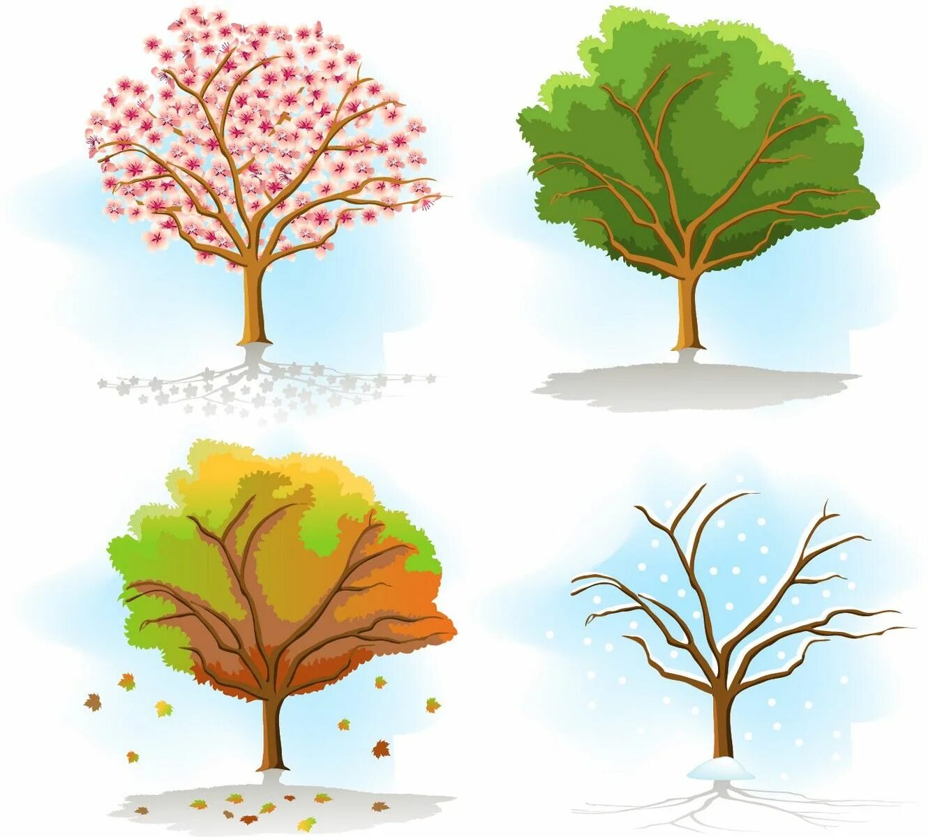Яблоня в разные времена года. Сезонное дерево. Дерево в разные времена года. Изображения времен года для детей. Дерево четыре времени года.