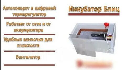 Таблица инкубатора блиц норма