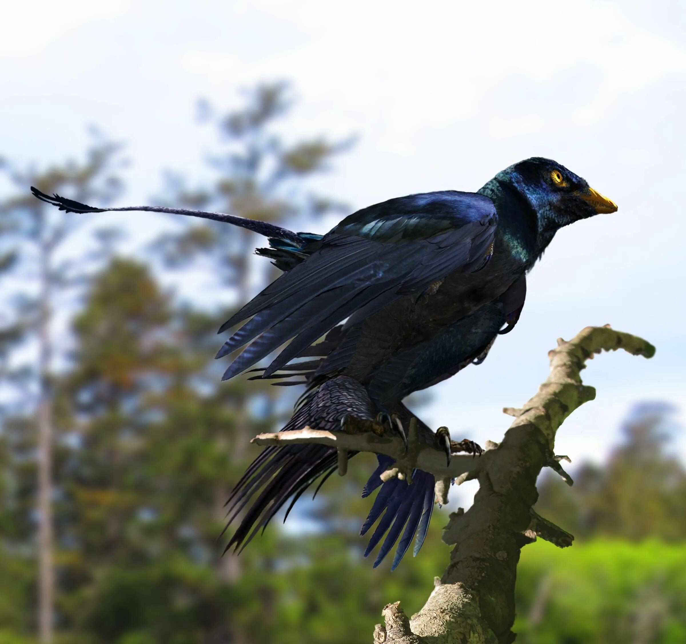 Микрораптор. Microraptor zhaoianus. четырехкрылый микрораптор. microraptor gui. птенец микрораптора.