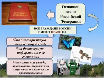 Право на информацию о состоянии окружающей среды
