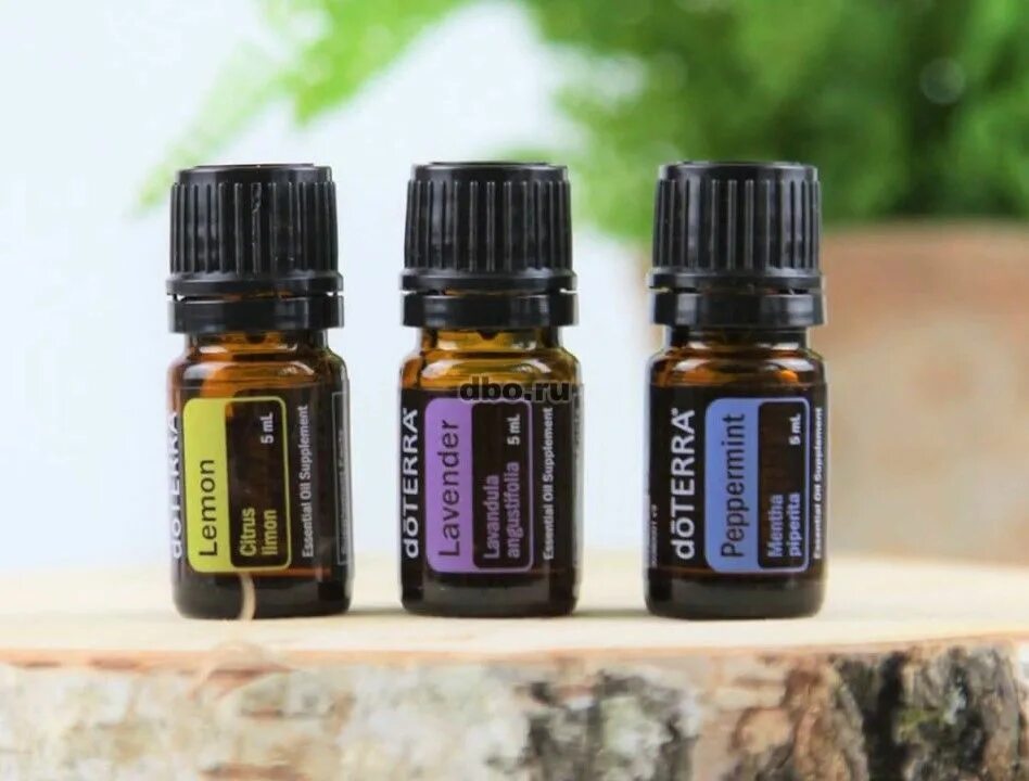 Мята эфирное масло дотерра. Doterra эфирные масла мята. Лаванда дотерра 5 мл. Перечня мята эфирное масло дотерра. Doterra эфирное масло мята перечная.