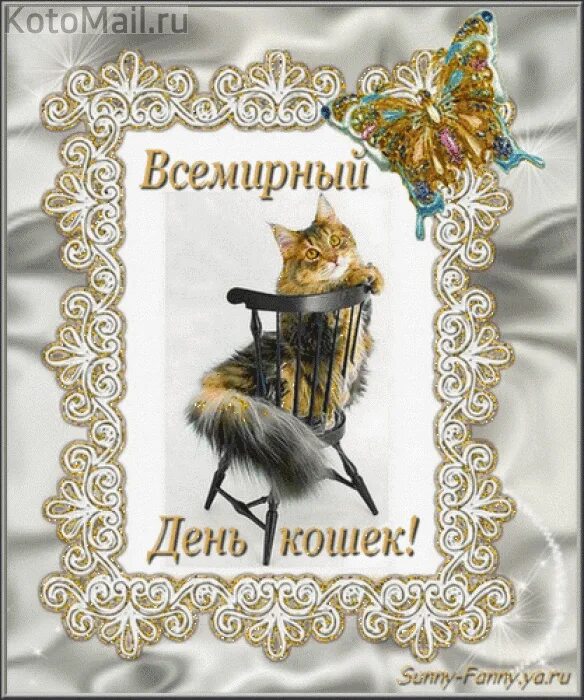 День кошек в россии 2024 год. День кошек. День кошек открытки. Поздравление с днем кошек.