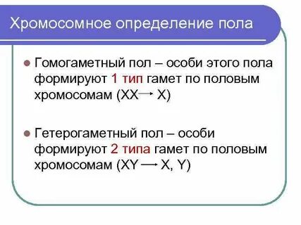 Пол особи