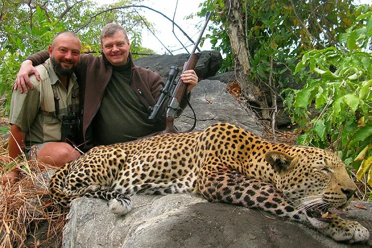 трофейный леопард