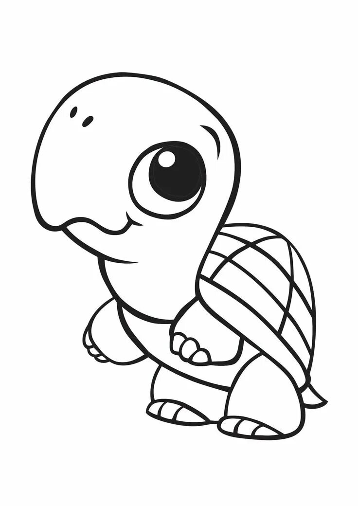 Kaplumbağa Boyama Sayfası Turtle drawing, Turtle coloring pages, Turtle outline