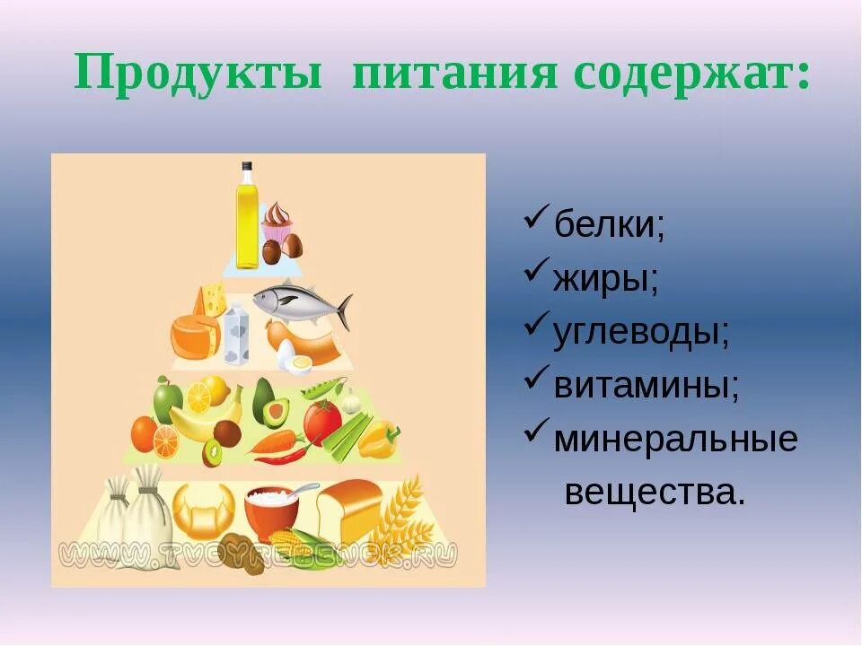 Питание пища пищевые вещества. Наше питание презентация. Белки жиры углеводы витамины. Пища и питательные вещества. Питательные вещества витамины.