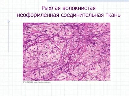 Волокнистая ткань