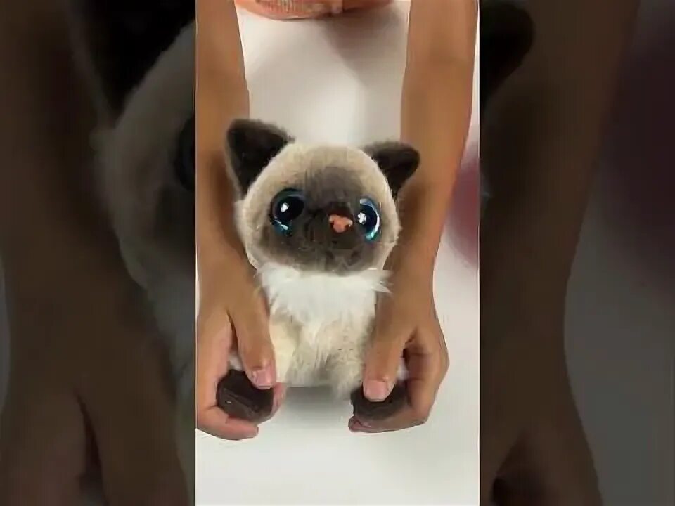 Pets alive ленивец купить. Pets alive smitten kittens. Pets alive smitten kittens. Pets alive smitten kittens. Zuru pets alive pet shop surprise series 2.