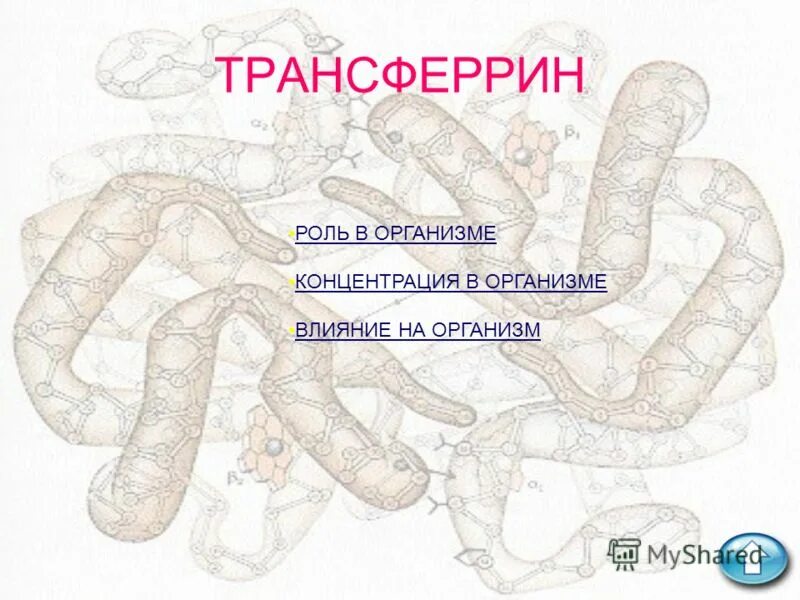 Строение гема гемоглобина. Роль гемоглобина в организме. Роль гемоглобина в организме. Роль гемоглобина в организме. Формы гемоглобина.